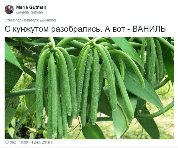 �a���p�e� �p������.���������� ��������� - 3