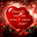 ���� �������, �����-��������� - ��������� 14 ������ 2020 � ������ ������ ��������