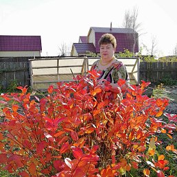 ���� �������, �������������, 65 ��� - ��������� 1 ������� 2020