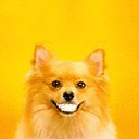  C, , 50  -  23  2020    