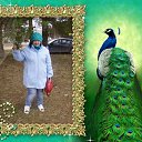 ���� ����, ������ ��������, 67 ��� - ��������� 29 ������ 2020 � ������ ������ ������ �����