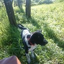 ���� ������, ������� - ��������� 29 ��� 2020 � ������ ���� ����������