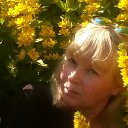 ���� �����, �����-��������� - ��������� 29 ���� 2020 � ������ ���� ����������