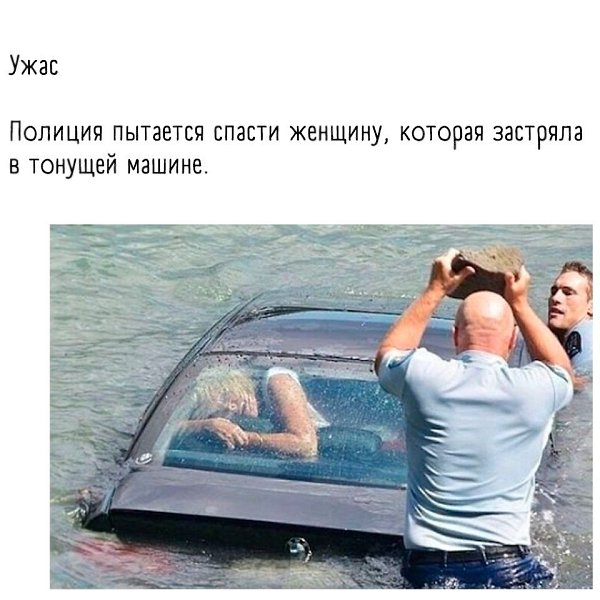   ,   ,   .. - 3