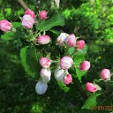 ���� ��������, Kouvola, 78 ��� - ��������� 2 ���� 2020 � ������ ������