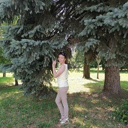 ������, ���������