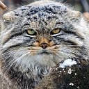 ���� Lara, ������� - ��������� 27 ������ 2020 � ������ �������