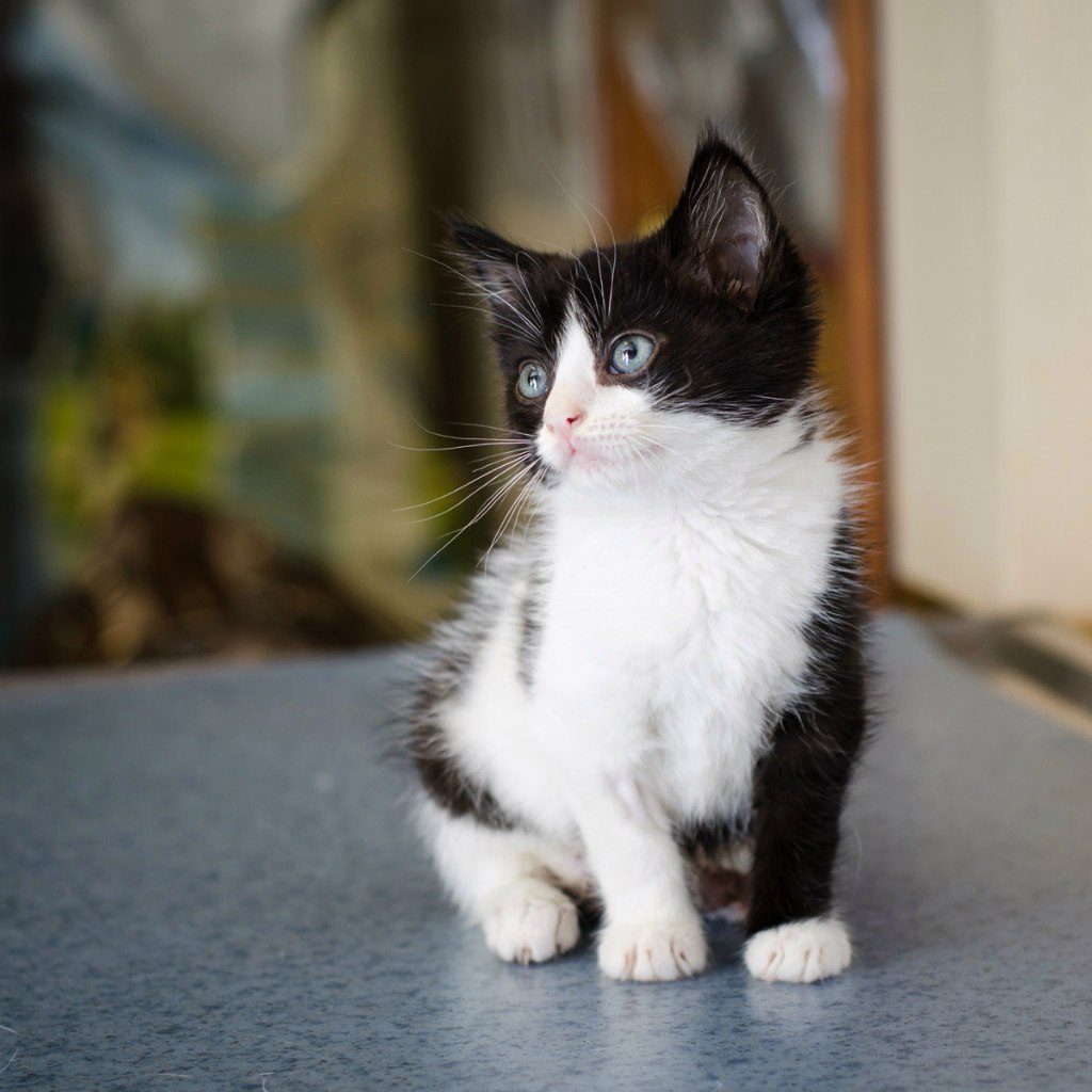 #_. ).    .       , ... - 4