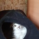 ���� ��������, �����������, 52 ���� - ��������� 26 ������ 2020 � ������ ���� ����������