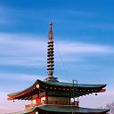 ���� ������, �����-���������, 48 ��� - ��������� 9 ������� 2020 � ������ ���� ����������