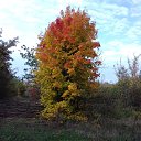  Ytgjhjxysq ,  -  12  2020    