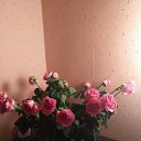 ���� �������, ��������� - ��������� 26 ��� 2020 � ������ ���� ����������