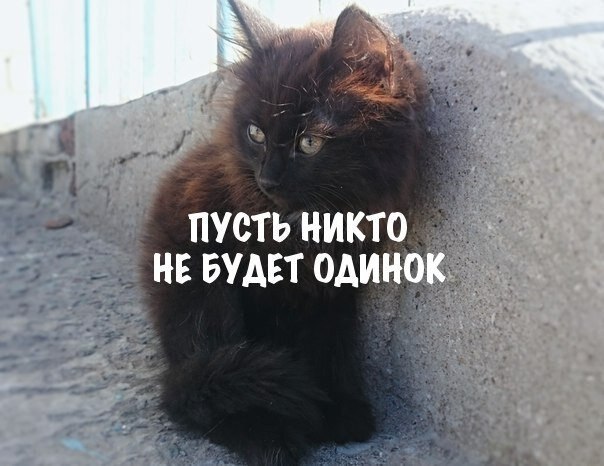    - 1  2020  19:08