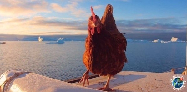 24-e pa Guir Sud pa  ae  e p   e  pe ... - 10