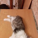 ���� ��������, �����������, 52 ���� - ��������� 27 ������ 2020 � ������ ���� ����������