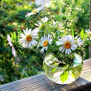 ���� �������, ���������, 67 ��� - ��������� 2 ���� 2020 � ������ ������ ��������