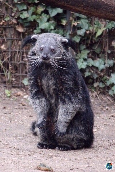 p   ec   ,    e? - 4