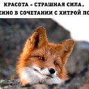 ���� �����, ����-���, 45 ��� - ��������� 18 ������ 2020 � ������ ���� ����������