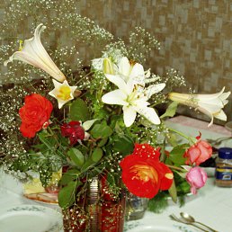 ���� ����, �������, 46 ��� - ��������� 12 ������ 2020