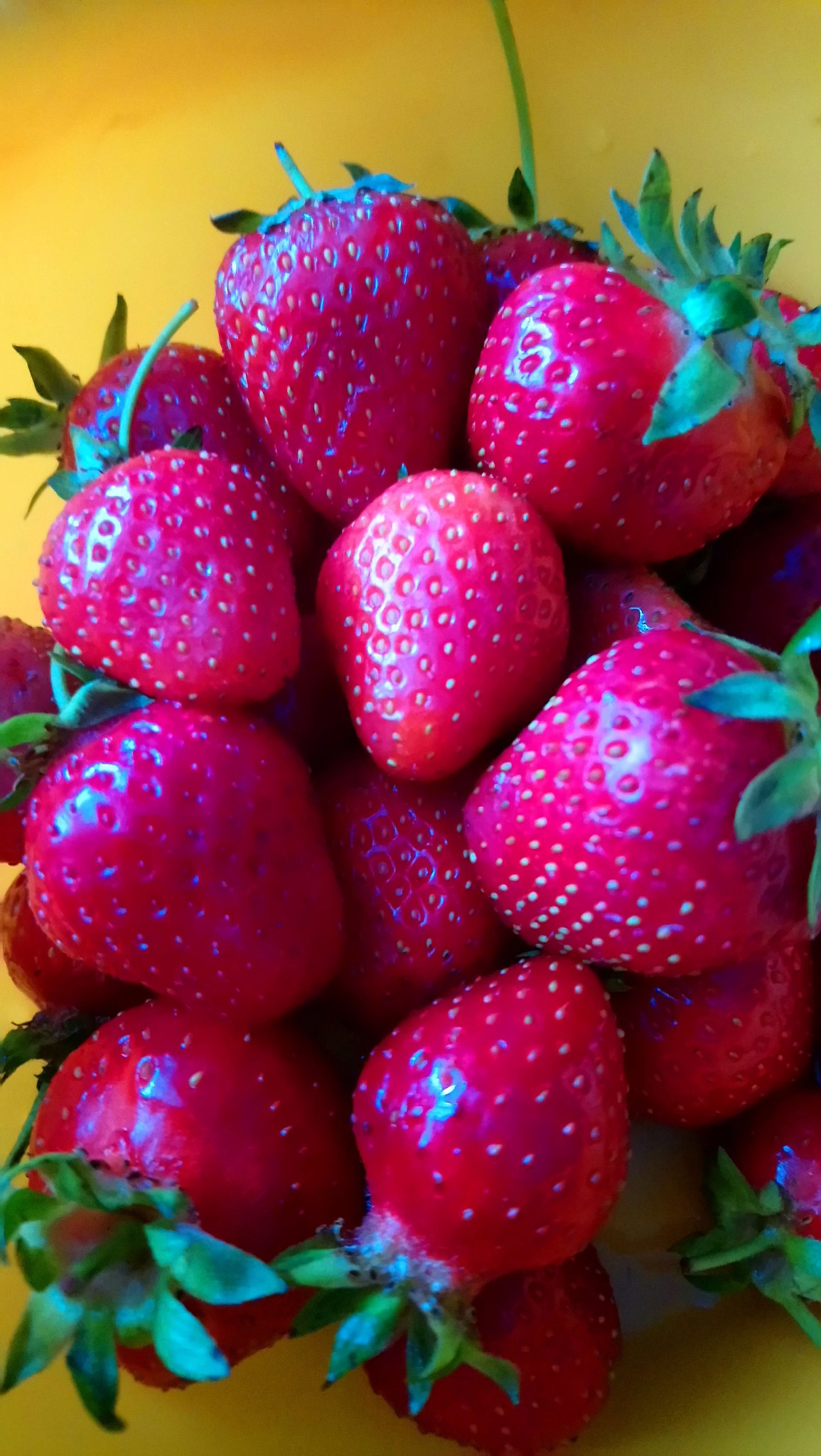 ���������� ���������� 🍓