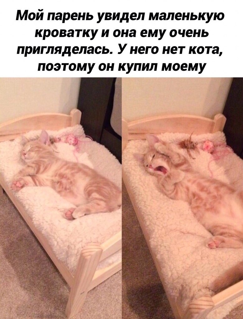 ����� ����������������, ��� ������� ������ �������)�