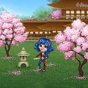  , , 27  -  20  2020   Tropikania