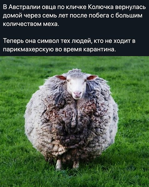 ����� � ������� - 27 ������ 2020 � 18:54