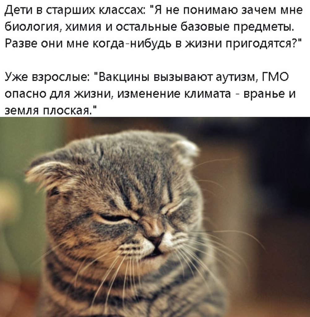 � ���� ��� ����������...