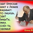 ���� ������, �������, 56 ��� - ��������� 2 ���� 2020 � ������ ������ ��������