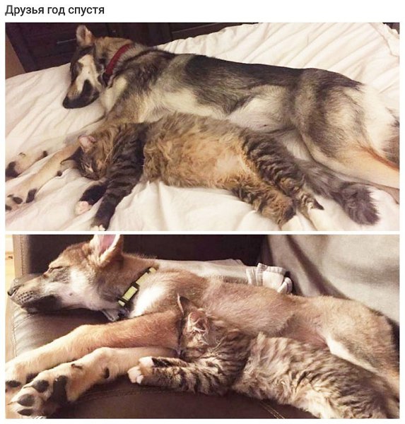 o   oo ooo o, o  o  . - 9