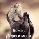 ���� ������, �����������, 54 ���� - ��������� 6 ���� 2020 � ������ �������