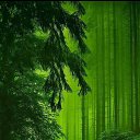 ���� Mesxi, �������, 50 ��� - ��������� 4 ��� 2020 � ������ ���� ����������