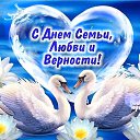 ���� �����, ������������� - ��������� 8 ���� 2020 � ������ ������ ��������