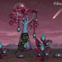 ���� ����, ������ - ��������� 31 ��� 2020 � ������ �Tropikania�