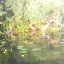 ���� �������, ������, 61 ��� - ��������� 13 ���� 2020 � ������ ���� ����������