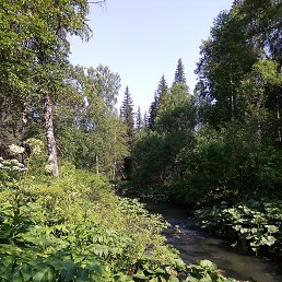 ���� ��������, �������� - ��������� 8 ������� 2020