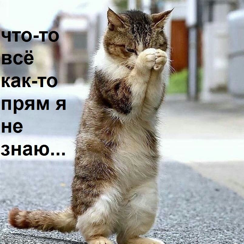 " ") - 3  2020  08:31