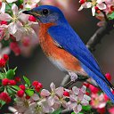 ���� �������, ������ - ��������� 24 ��� 2020 � ������ ���� ����������