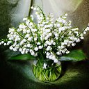 ���� ��������, ����������� - ��������� 13 ������� 2020 � ������ ���� ����������