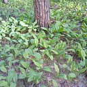 ���� �������, ���������, 60 ��� - ��������� 21 ��� 2020 � ������ ���� ����������