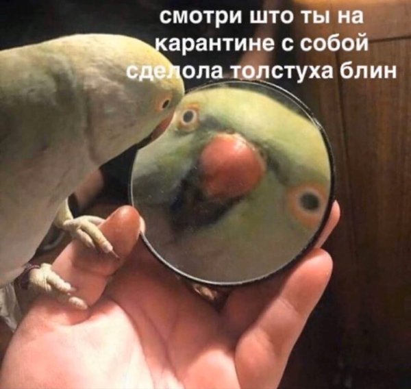 ������� - 14 ������ 2020 � 18:27
