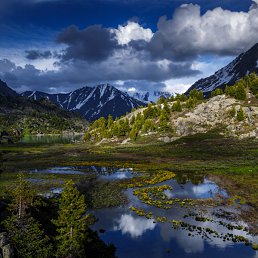 ���������, ������, 34 ����