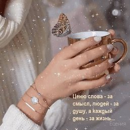 ���� �������, ����������, 57 ��� - ��������� 13 ���� 2020