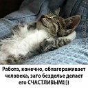 ���� �����, ��������, 64 ���� - ��������� 3 ����� 2020 � ������ ���� ����������