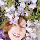 ���� ����@, ���� - ��������� 23 ���� 2020 � ������ ���� ����������