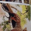 ����� �� ������� ������