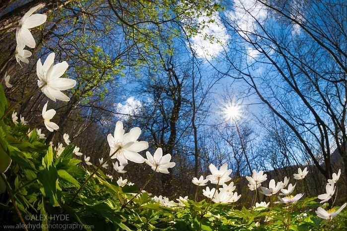 Всё проходит. Все раны заживают, все шрамы затягиваются. Время шлифует поверхность, подобно морю, ...