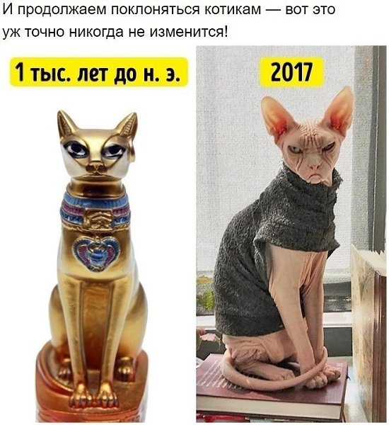        - 10