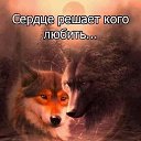 ���� �����, �����, 64 ���� - ��������� 21 ���� 2020 � ������ ������ ��������