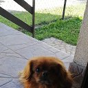 ���� �����, ����, 58 ��� - ��������� 1 ���� 2020